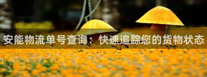 28圈人头费：安能物流单号查询：快速