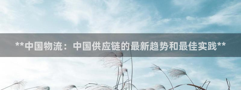 28圈充值为什么充不了