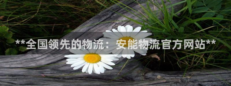 28圈网站平台