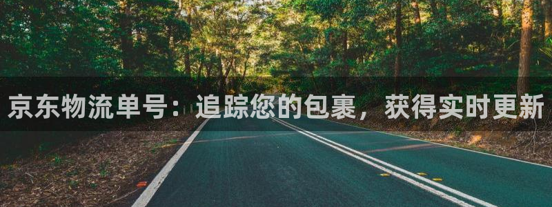 28圈下载链接是多少：京东物流单号：