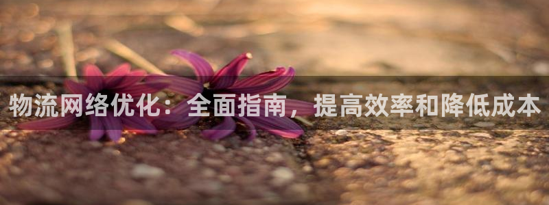 28圈官网注册：物流网络优化：全面指
