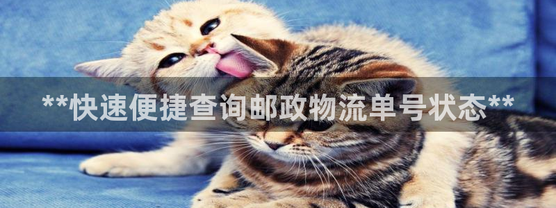 28圈反水什么时候到