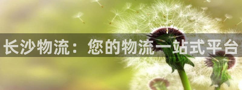 28圈下载二维码