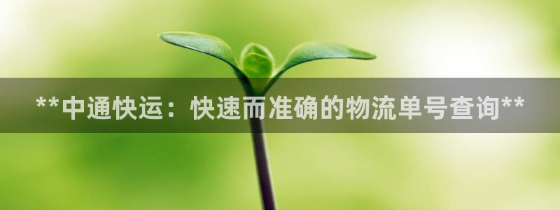 28圈预测加拿大