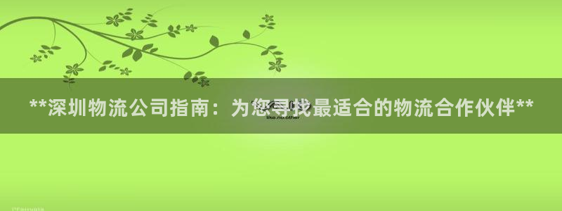 28圈加拿大模拟器：**深圳物流公司