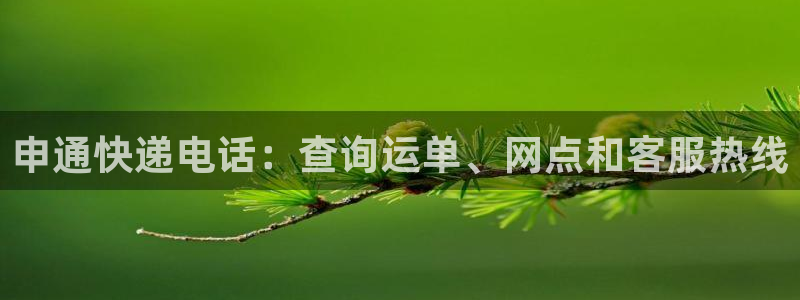 28圈百度百科