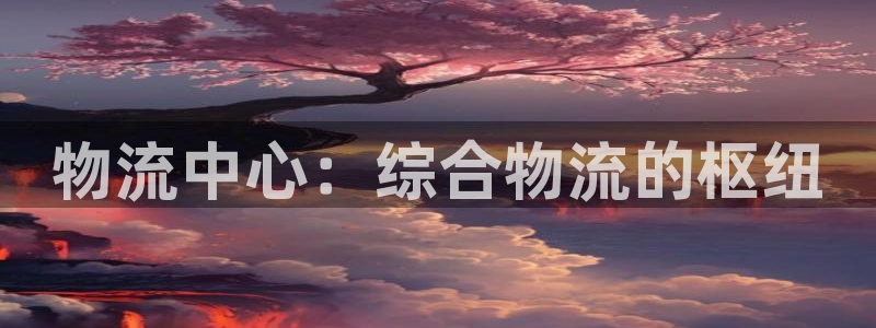 28圈龙虎：物流中心：综合物流的枢纽