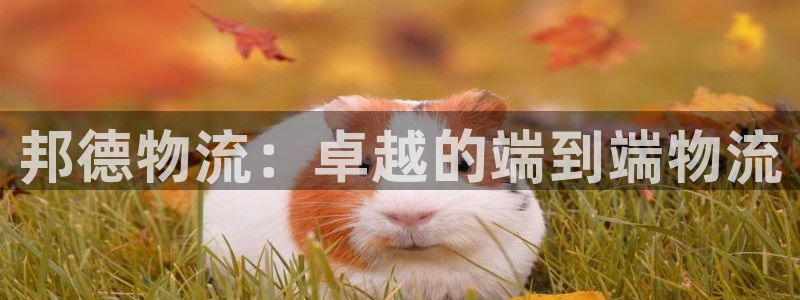 28圈反水什么时候到