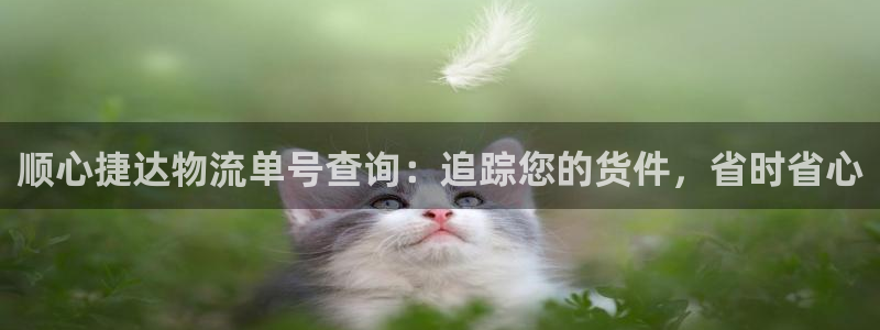 28圈游戏链接：顺心捷达物流单号查询