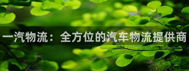 28圈.ccmpc29官网版：一汽物
