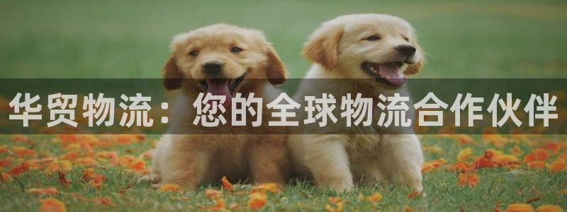 28圈.ccm正版