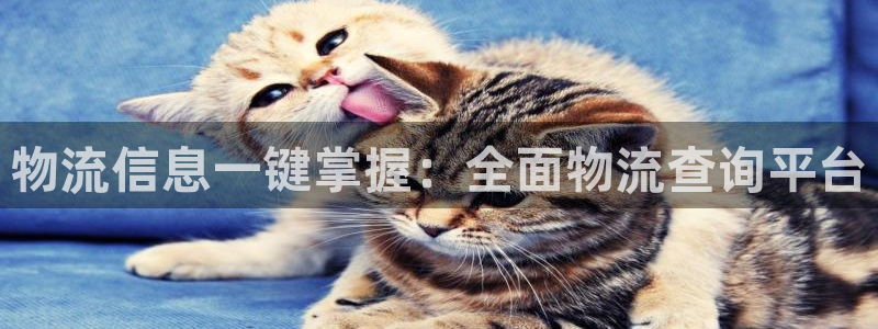 28圈官网链接