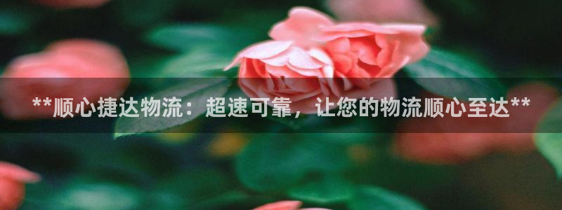 28圈如何看计划