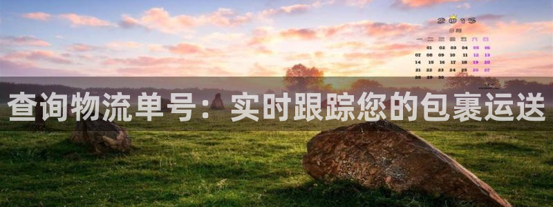 28圈加拿大是什么