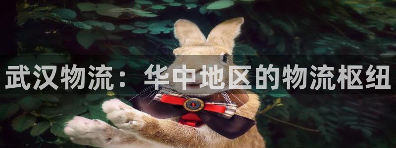 28圈圈