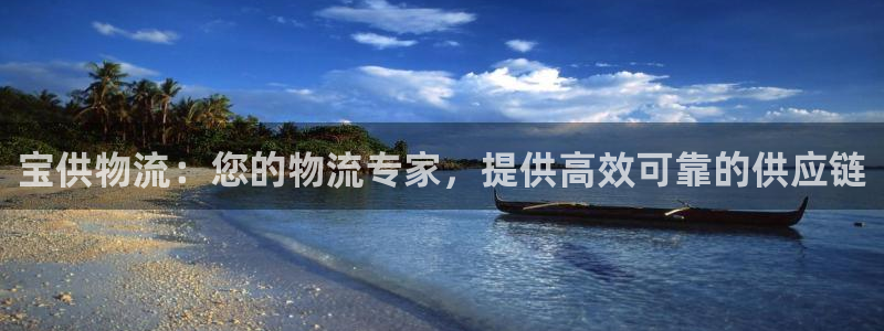 28圈正规吗：宝供物流：您的物流专家