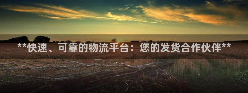 28圈在线预测