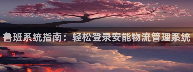 28圈注册网站多少钱一个：鲁班系统指