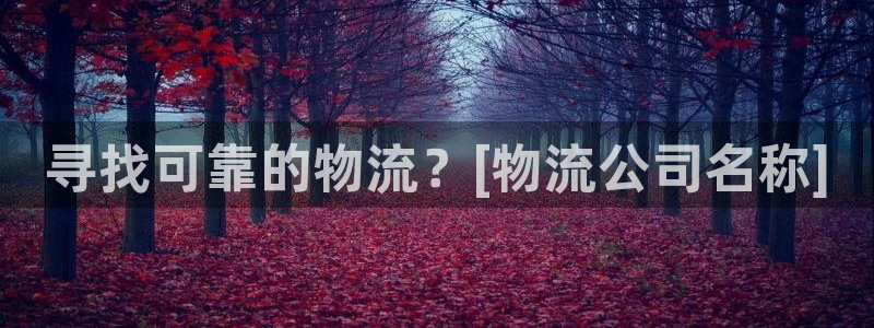 28圈辅助