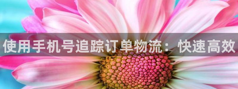 28圈登录网：使用手机号追踪订单物流