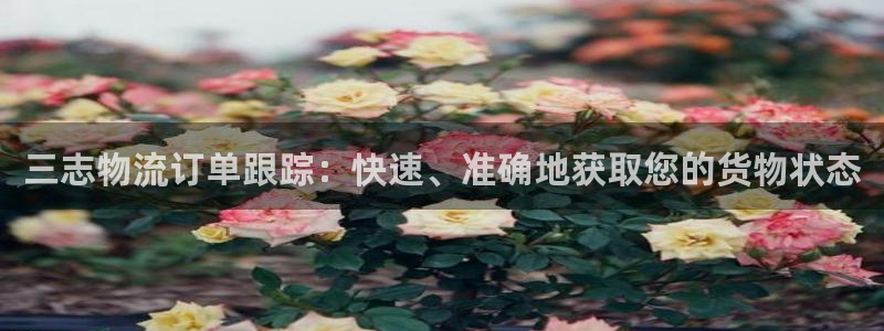 28圈如何看计划