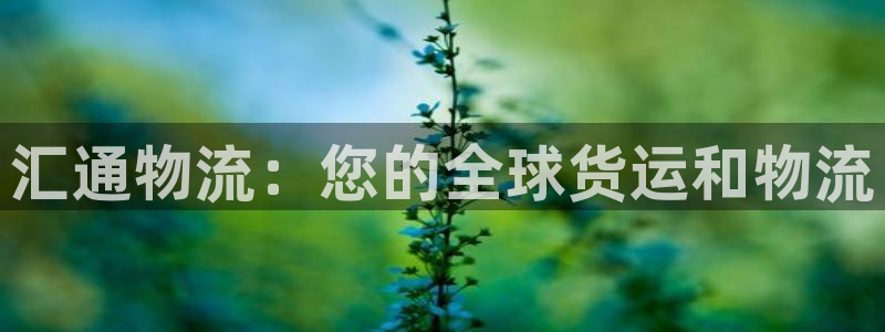28圈官方版网站