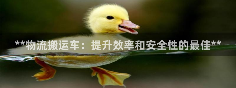 28圈充值不到账怎么办