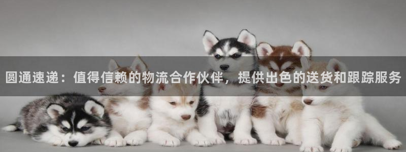 28圈官网下载链接是什么：圆通速递：