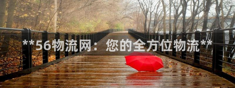 28圈p图上分下款通道