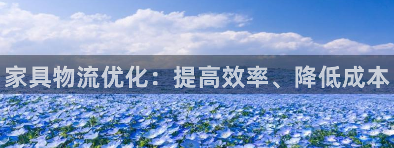 28圈怎么注册：家具物流优化：提高效