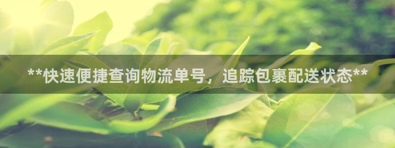 自行车28圈是什么意思