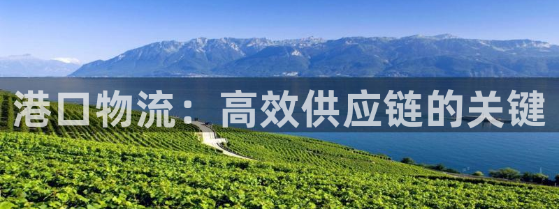 28圈.ccmpc29官网版下载