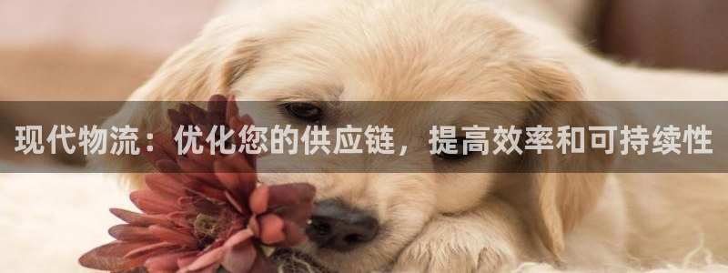 28圈.ccm南宫
