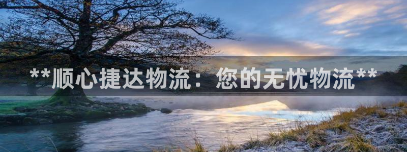 28圈登录不上咋回事：**顺心捷达物