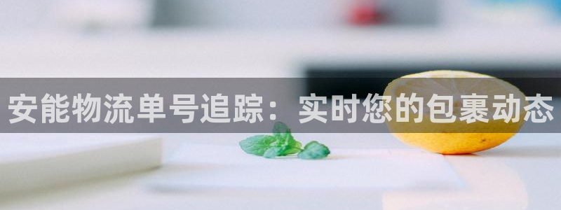 28圈在线预测官网：安能物流单号追踪