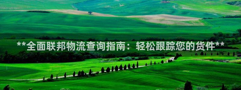 28圈游戏官网入口：**全面联邦物流
