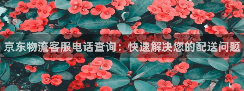 28圈黑款