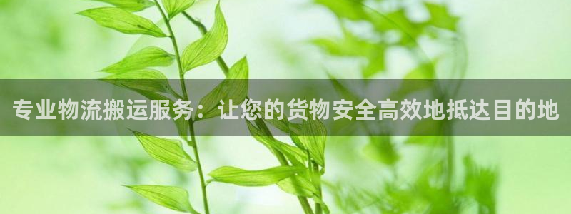 28圈注册网站多少：专业物流搬运服务