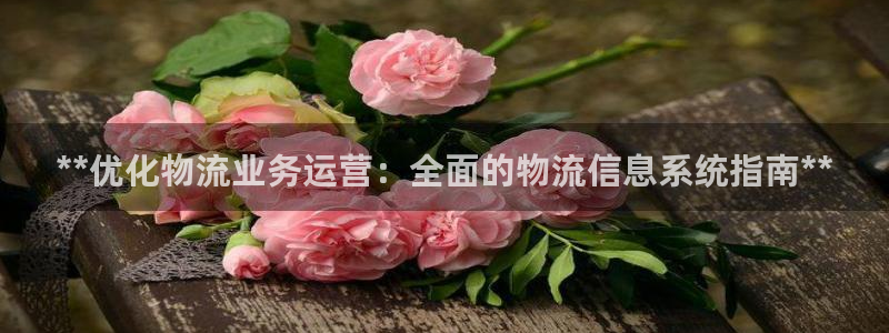 28圈注册送：**优化物流业务运营：