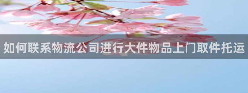 28圈网赌有什么风险