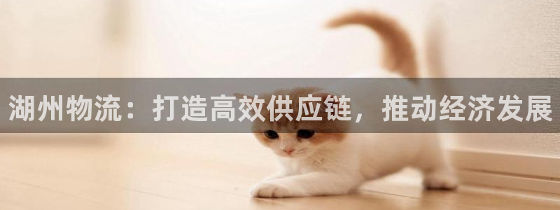 28圈电子：湖州物流：打造高效供应链