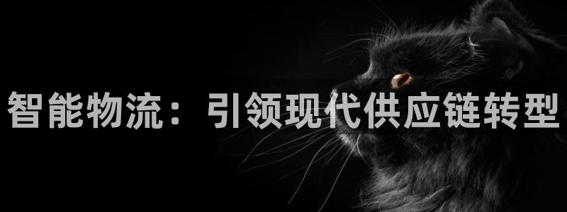 28圈官网网站