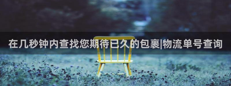28圈p扣除是什么意思