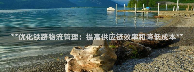 28圈圈助手：**优化铁路物流管理：