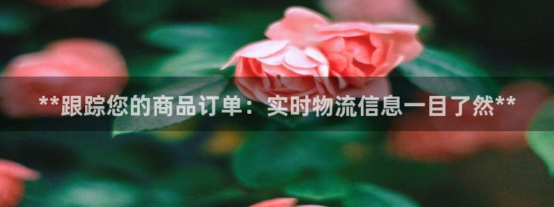 28圈加拿大真假怎么看：**跟踪您的