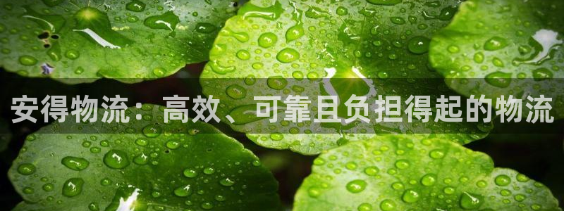 28圈注册问一问：安得物流：高效、可