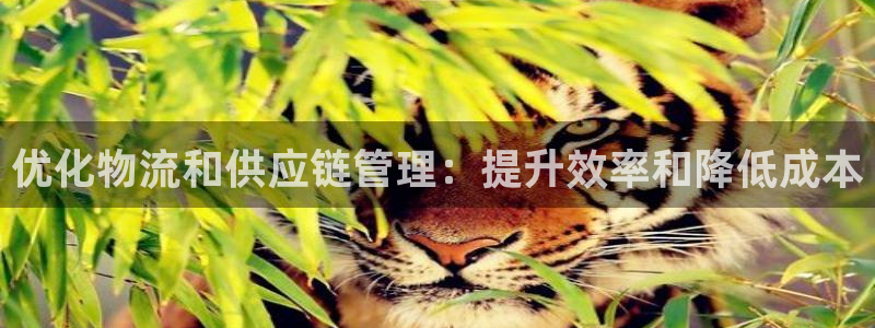 28圈连接