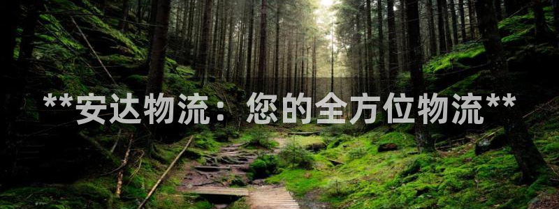 28圈登录用户名登录不上：**安达物