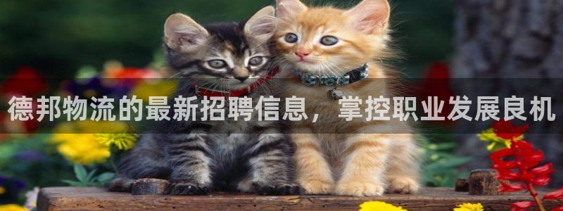pc28圈怎么注册：德邦物流的最新招