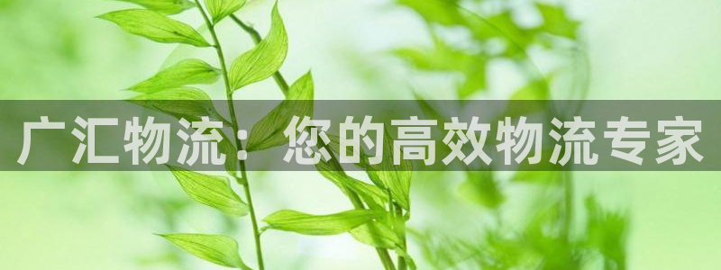 28圈app怎么注册账号